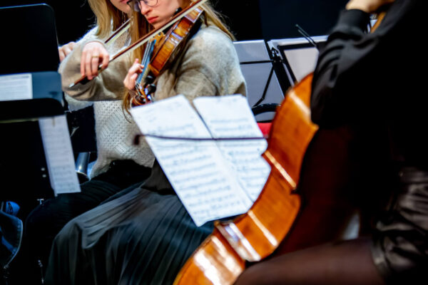 DSC_4582-NEF_DxO_DeepPRIME