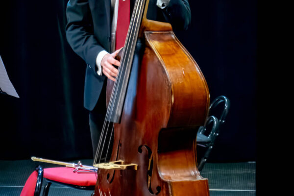 DSC_5253-NEF_DxO_DeepPRIME