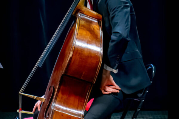 DSC_5261-NEF_DxO_DeepPRIME