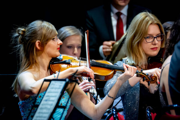 DSC_5494-NEF_DxO_DeepPRIME