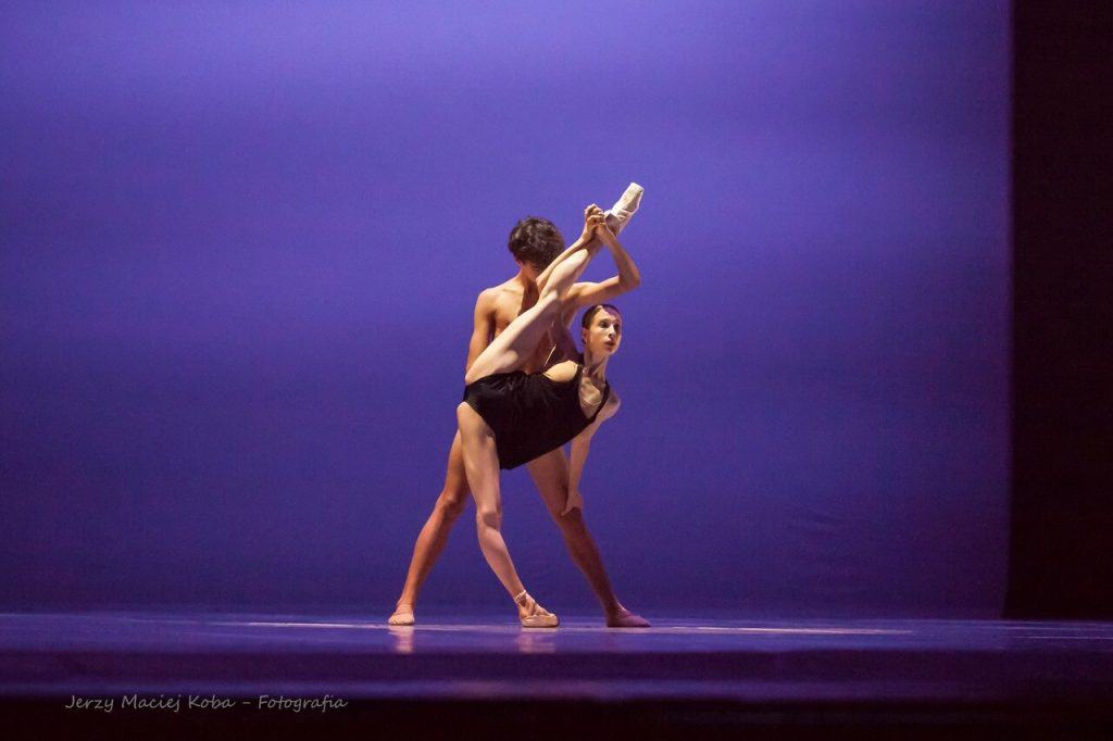 41703280_2063018367044368_3251376752303276032_o